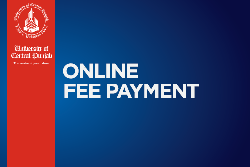 Online Payment System